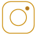 Icon Instagram