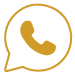 Icon Whatsapp